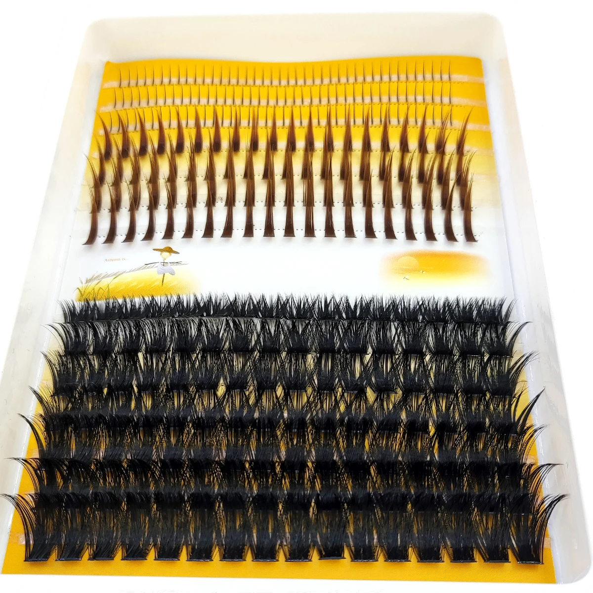 Eyelash Extension Doll Eye - ขนตาปลอมแบบกลุ่ม AMSDCN 60D-120D 3 มิติ ปลายแหลม