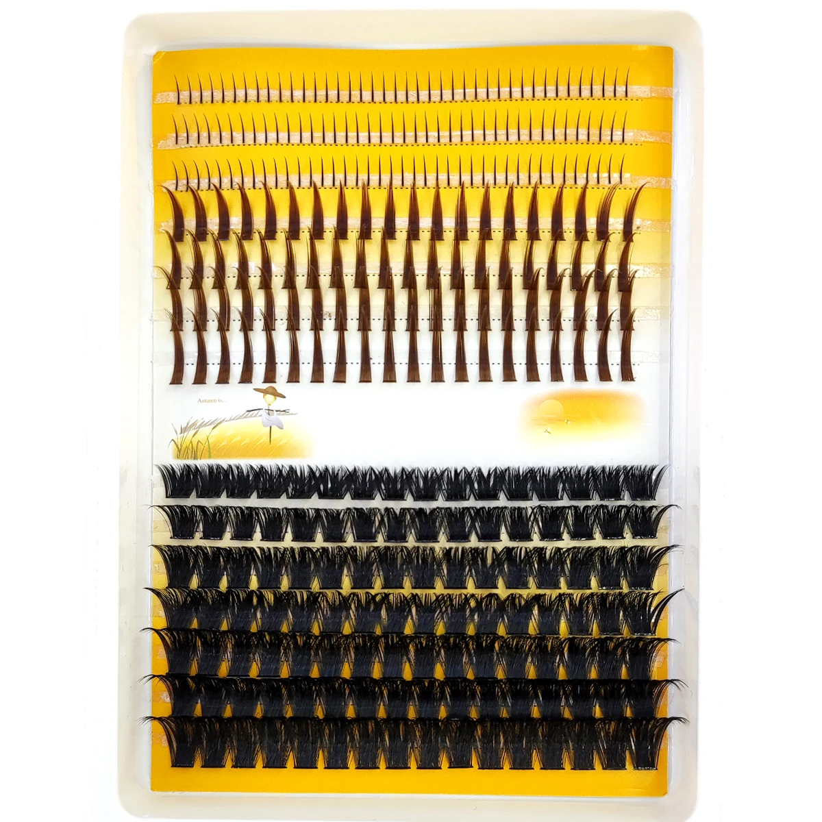 ขนตาปลอมแบบกลุ่ม AMSDCN 60D-12 - Eyelash Extension Doll Eye บทวิจารณ์และราคา